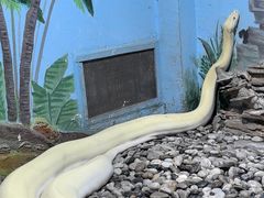 -石家庄市动物园