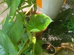 -泰古龙抓龙筋·spa按摩(静安店)