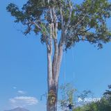 在清迈拜县，只想静静做个美旅子～