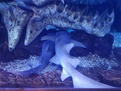 -波塞冬旅游度假区