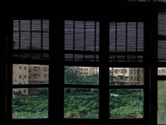 -旺金鸽(穗盐路总店)