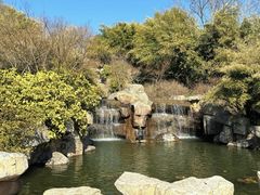 -南湾湖