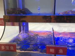 -小龍鳳·港式海鲜打边炉(沙湖路店)