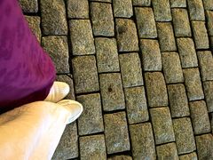 -东方饺子王(新阳路店)