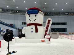 -哈尔滨热雪奇迹