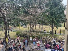 -浙江省杭州高级中学(贡院校区)