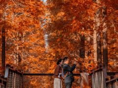 -黄海国家森林公园