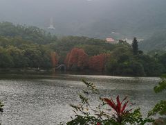-深圳仙湖植物园