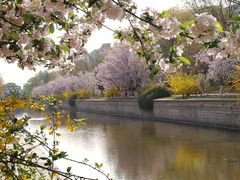 -元大都城垣遗址公园