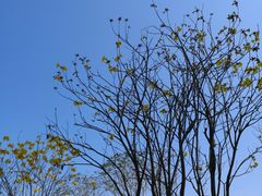 -人民公园(罗湖区)