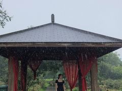 -合肥三国新城遗址公园