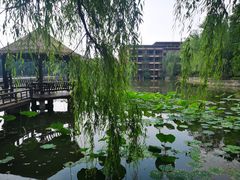 -天赐温泉