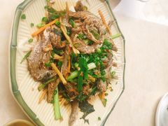 -开心农家菜