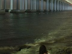 -宝安西湾红树林湿地公园