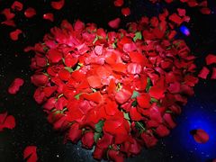 -歌库K馆量贩KTV(万达广场店)