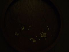 -臻品足道(后湖店)