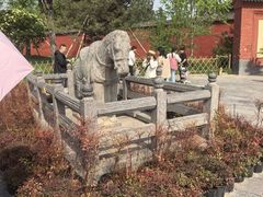 -洛阳白马寺