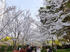 -陆家嘴中心绿地