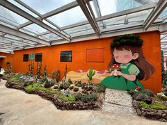 -正佳雨林生态植物园