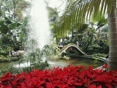 -北京植物园-展览温室