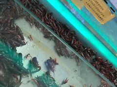 -加尔森烤肉海鲜·火锅烧烤自助