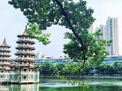-宝岛公园
