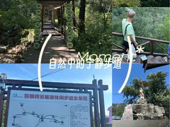 -大岭沟猕猴桃谷风景区