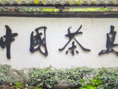 -天目湖山水园