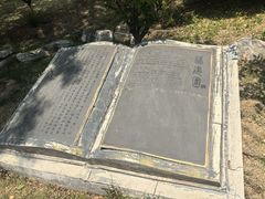 -武清南湖绿博园