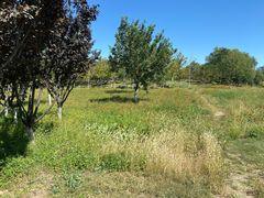 -永定河休闲森林公园