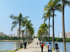 -南宁南湖公园