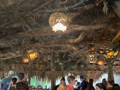 -奥兰多迪士尼动物王国乐园