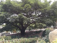 -晓港公园