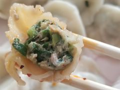 韭菜猪肉水饺-李氏东北饺子王·铁锅炖(回龙湾店)