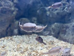 -福州罗源湾海洋世界旅游区