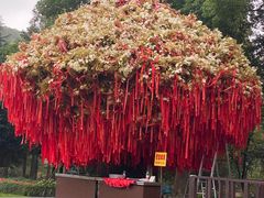 -狼山风景名胜区