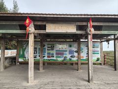 -北海金海湾红树林生态旅游区