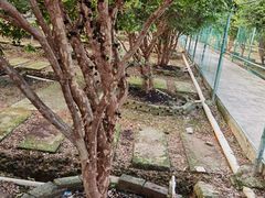 -迪茵湖田家舍生态农场