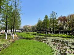 -映月湖公园