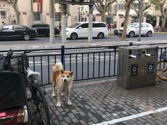 -东泰祥生煎馆(陕西南路店)