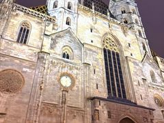 -斯蒂芬主教座堂(Stephansdom)