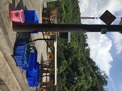 iphone_upload_pic-鲤鱼塘农家山庄