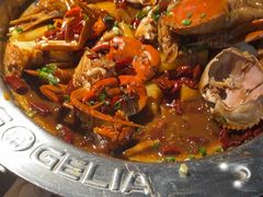 -胖哥俩肉蟹煲(梅溪步步高店)