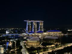 -新加坡瑞士史丹福酒店