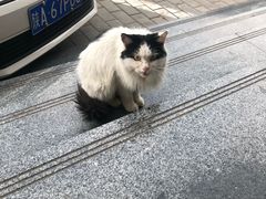 -33韩式自助烧烤(环城南路店)