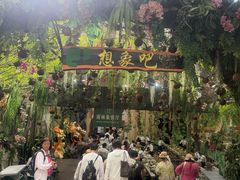 -野象谷景区