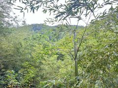 -天目湖御水温泉·度假酒店