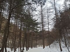 -沣峪口
