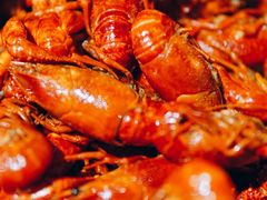 -华仔龙虾(永乐路总店)