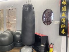 -温鉴良实用咏春拳